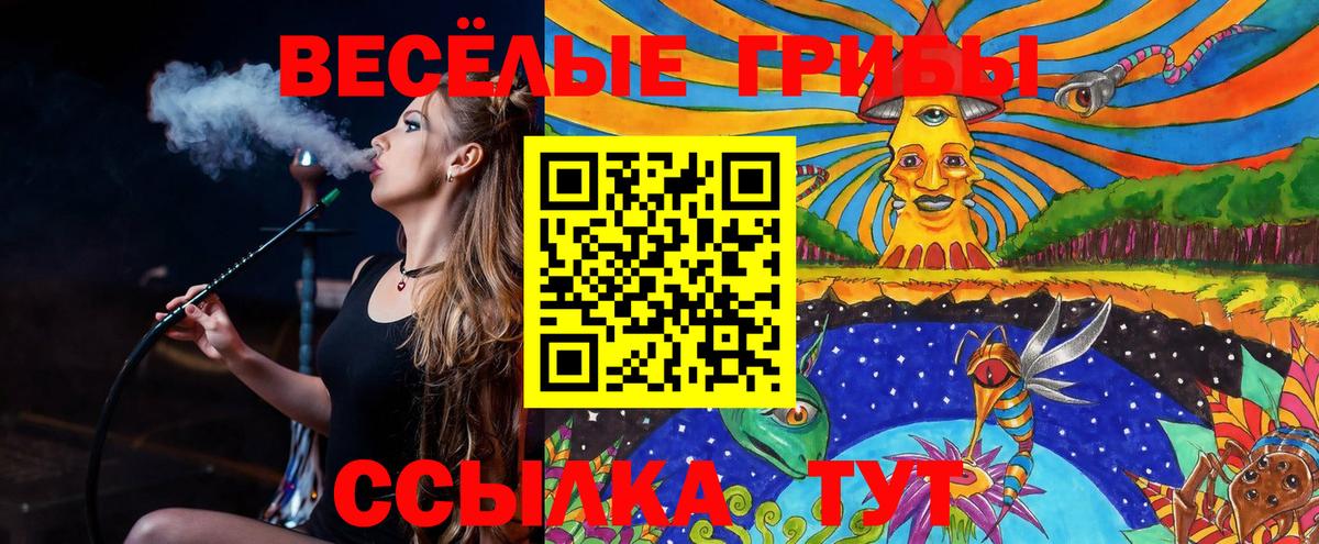 Сухой Лог  Галлюциногенные грибы прущие грибы  Вход с VPN  Галлюциногенные грибы Psilocybe 